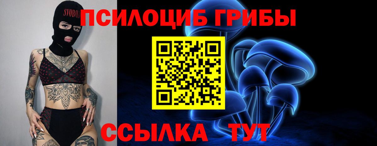 Псилоцибиновые грибы прущие грибы  Вход с VPN  Лангепас  цена наркотик  Псилоцибиновые грибы ЛСД 